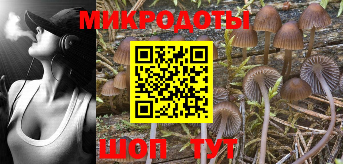 Псилоцибиновые грибы Psilocybine cubensis  Вход с VPN  Красногорск 